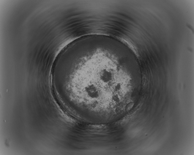 X0000092231125200710121212