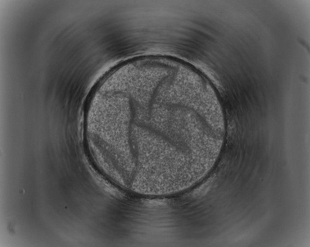 X0000092231126200710121212