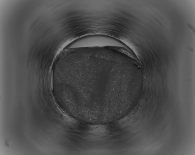 X0000092231127200710121212