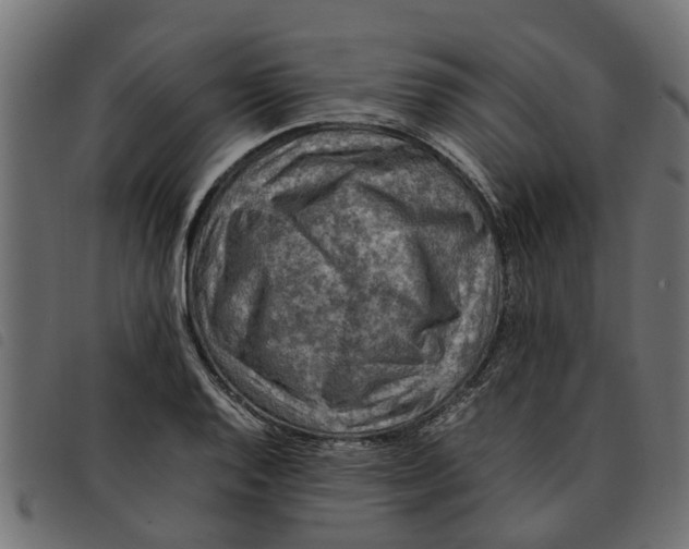 X0000092231128200710121212