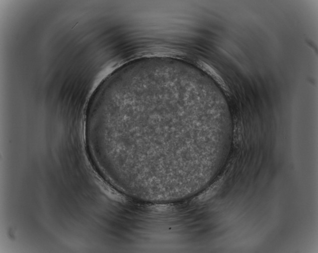 X0000092231130200710121212