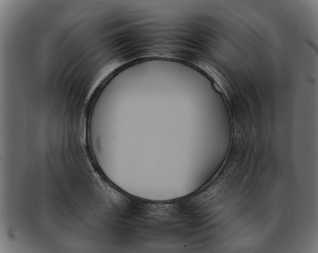 X0000092231131200710121212