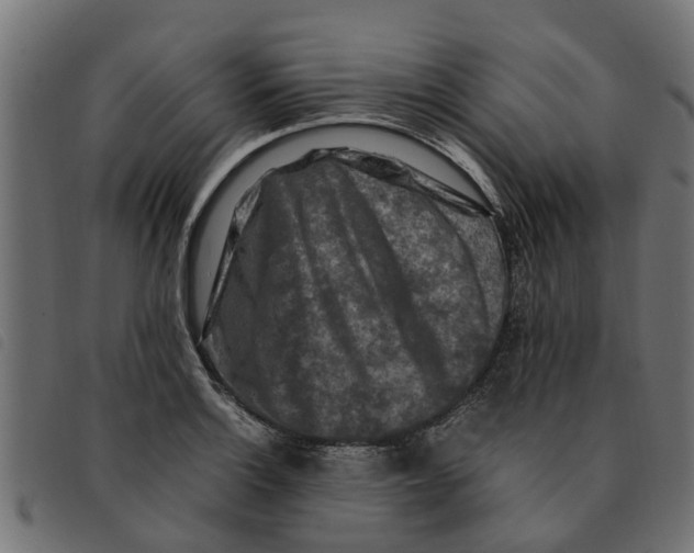 X0000092231132200710121212