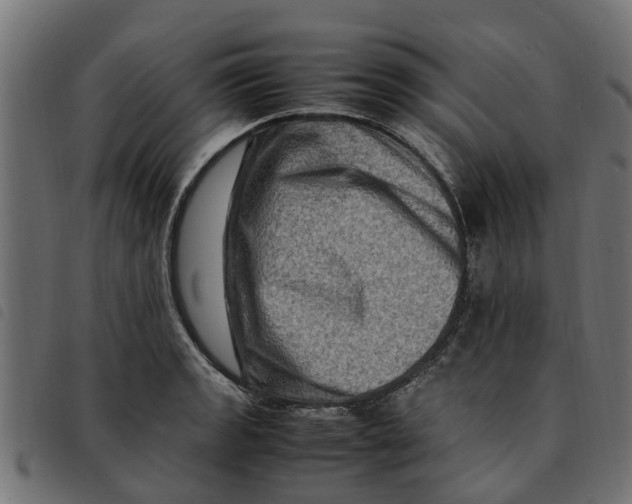 X0000092231133200710121212