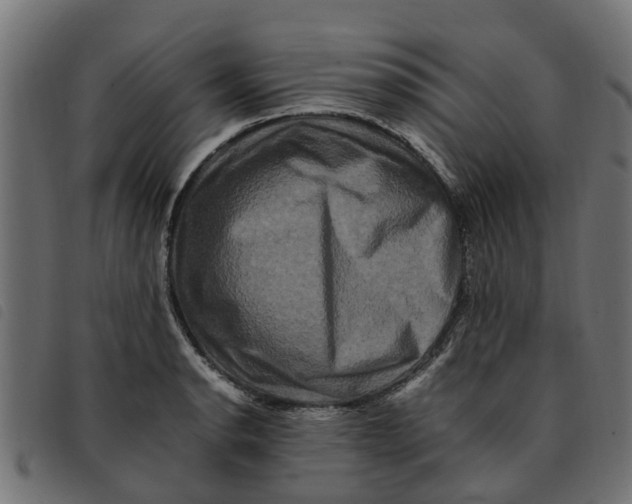 X0000092231134200710121212