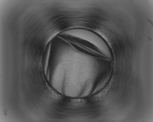 X0000092231137200710121212