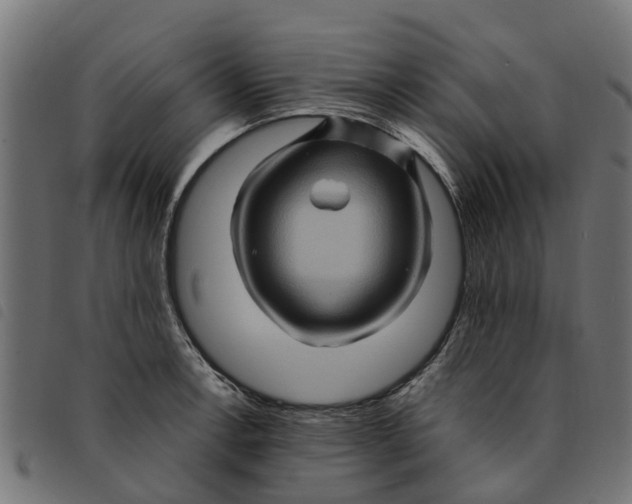 X0000092231138200710121212