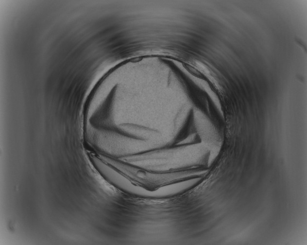 X0000092231140200710121212