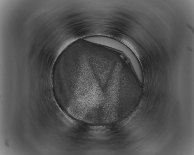 X0000092231141200710121212