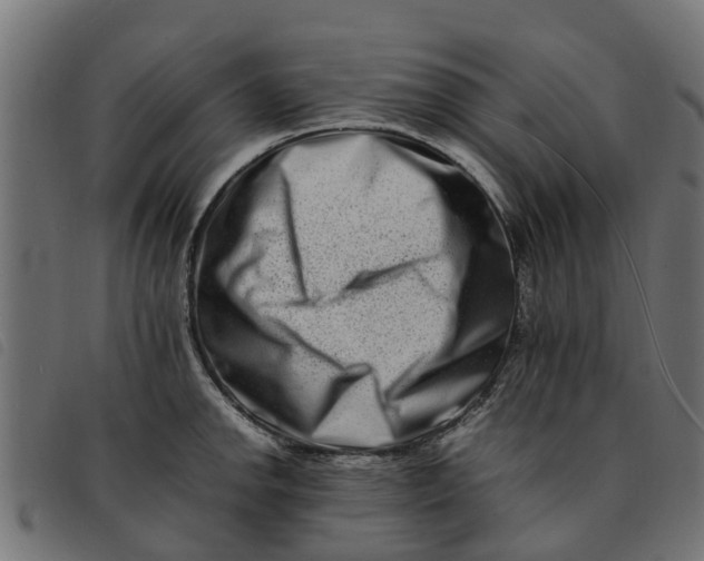 X0000092231142200710121212