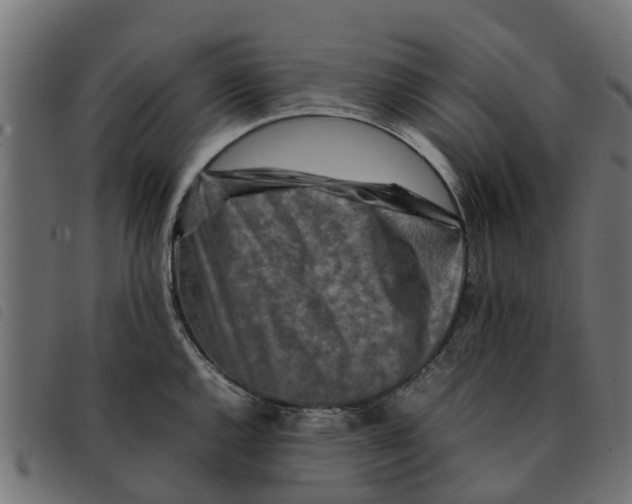 X0000092231144200710121212