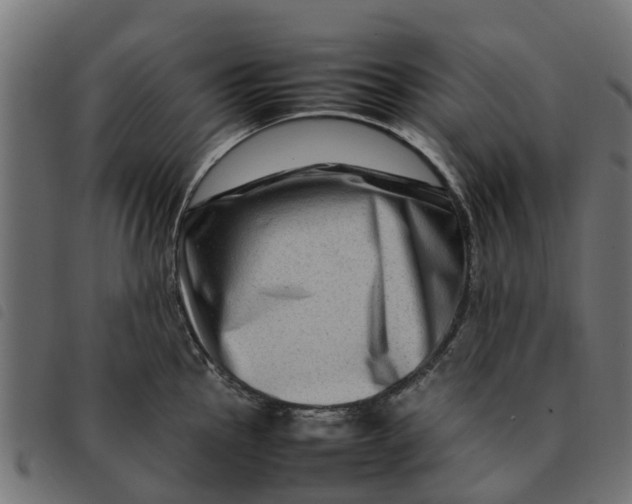 X0000092231145200710121212