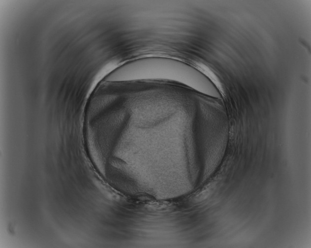 X0000092231146200710121212