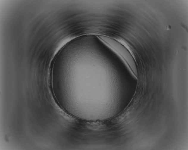 X0000092231147200710121212