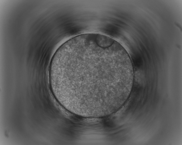 X0000092231150200710121212