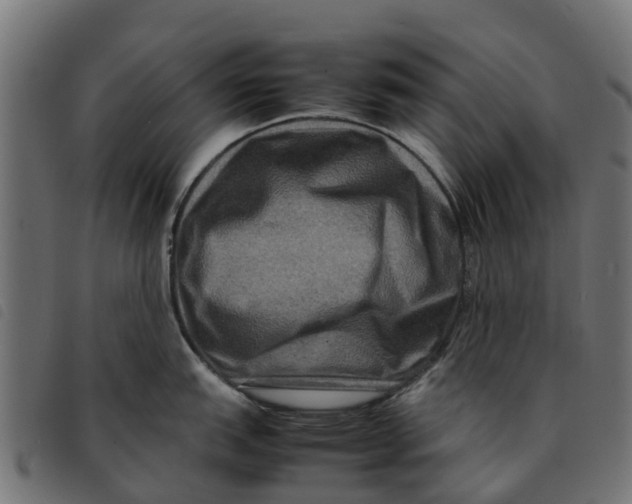 X0000092231151200710121212