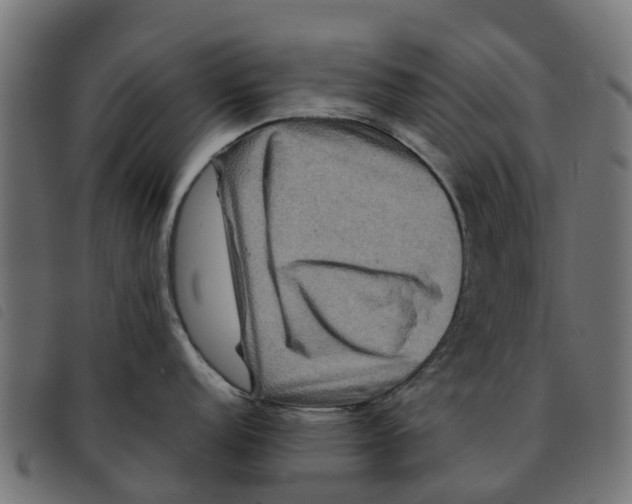 X0000092231152200710121212