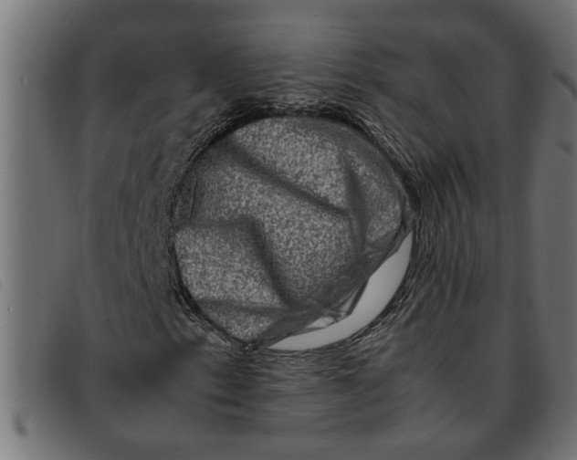 X0000092231153200710121212