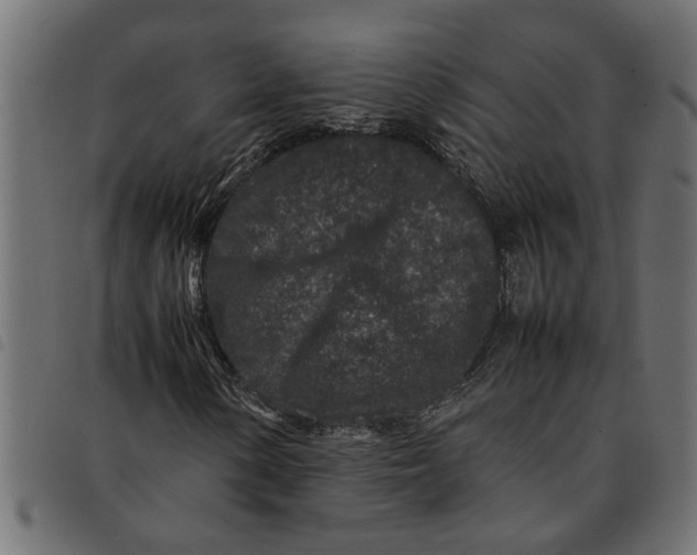 X0000092231154200710121212