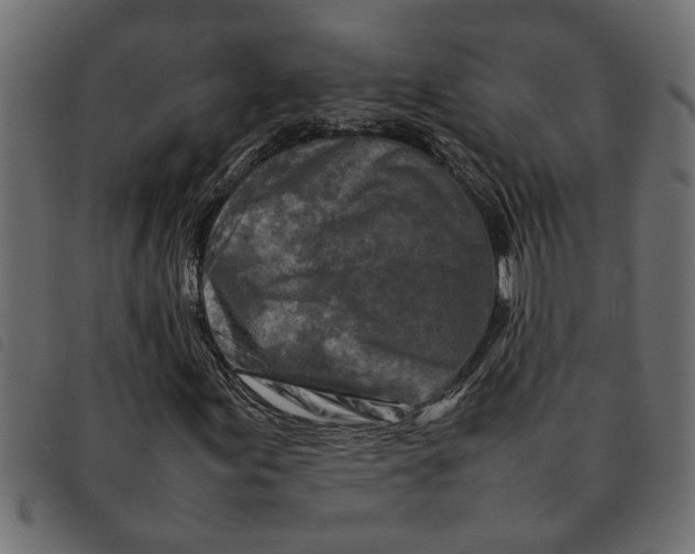 X0000092231155200710121212