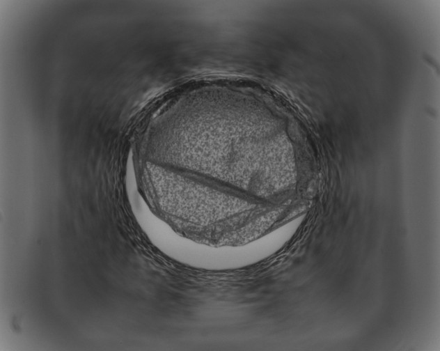 X0000092231157200710121212