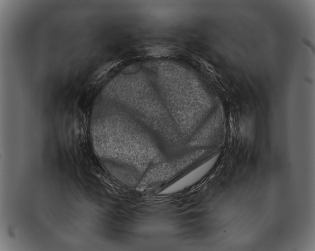 X0000092231158200710121212