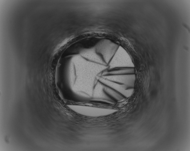 X0000092231159200710121212