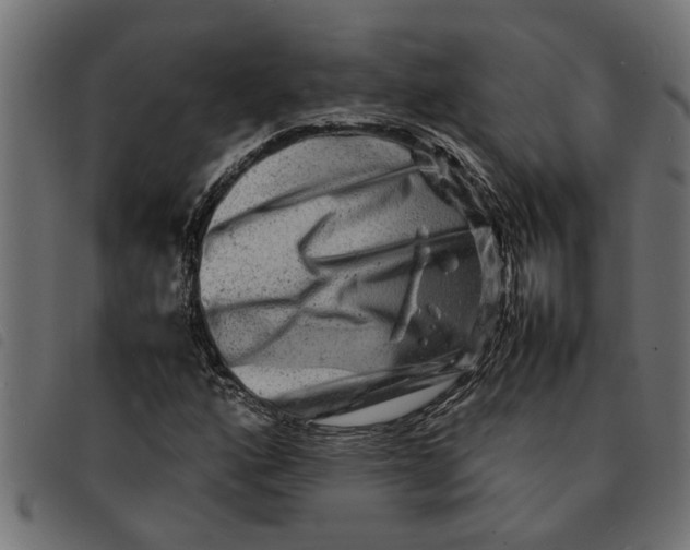 X0000092231160200710121212