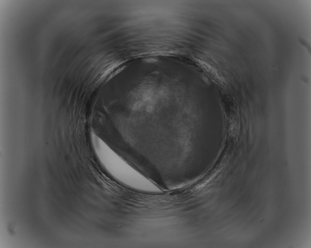 X0000092231161200710121212