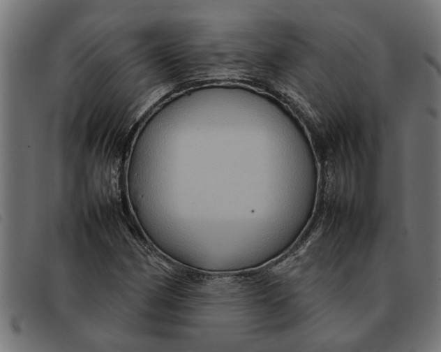 X0000092231162200710121212