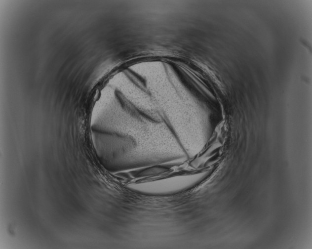 X0000092231163200710121212