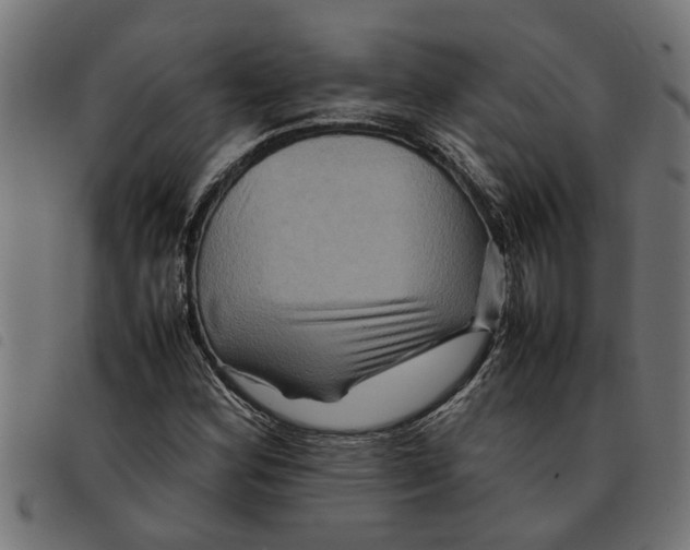 X0000092231164200710121212