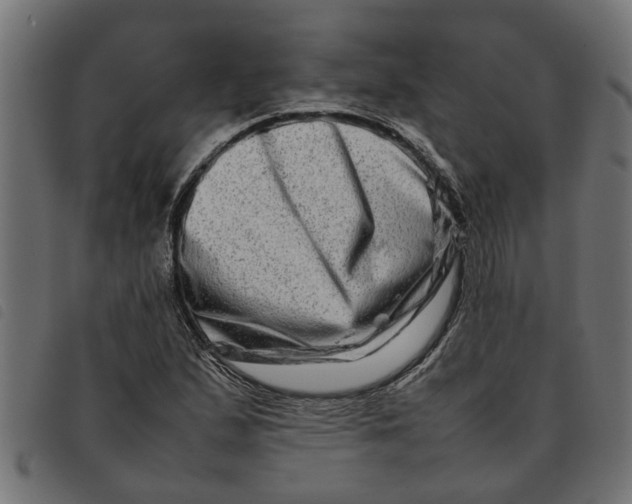 X0000092231167200710121212