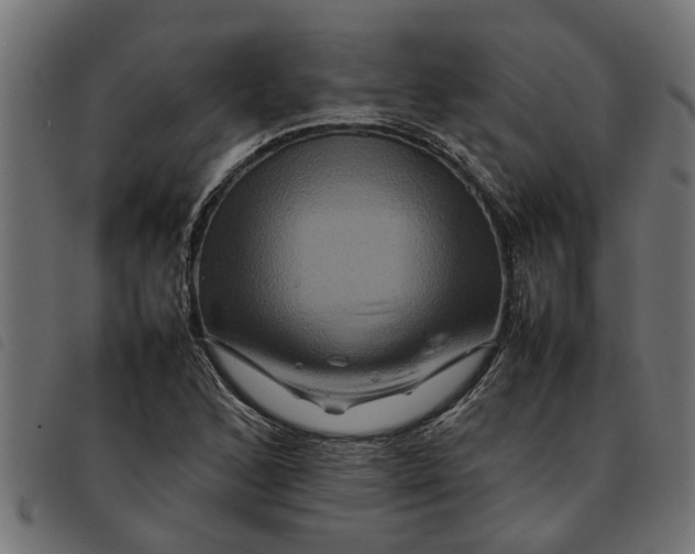 X0000092231168200710121212