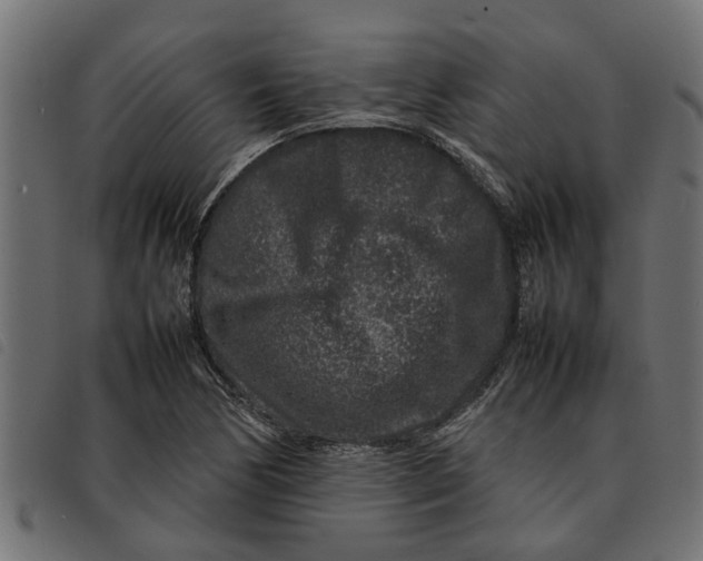 X0000092231170200710121211