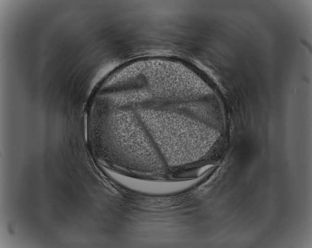 X0000092231171200710121211