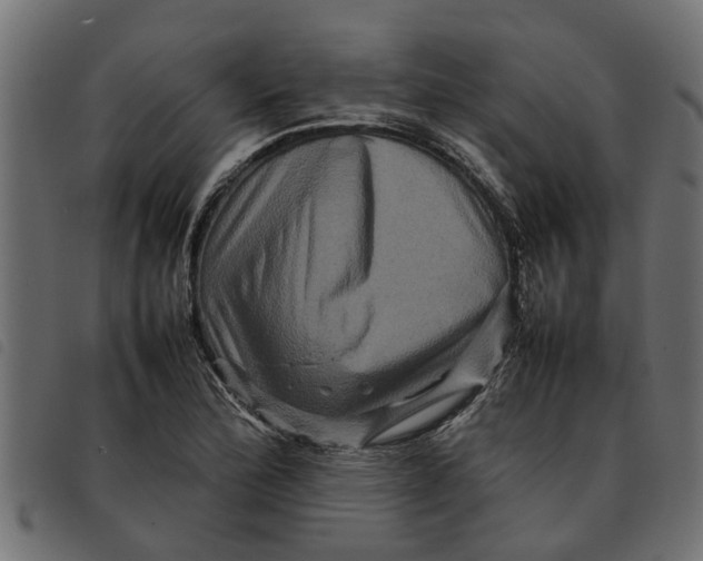 X0000092231172200710121211