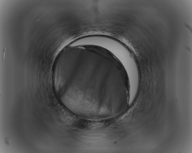 X0000092231173200710121211