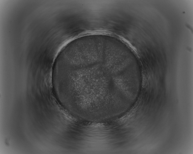 X0000092231174200710121211