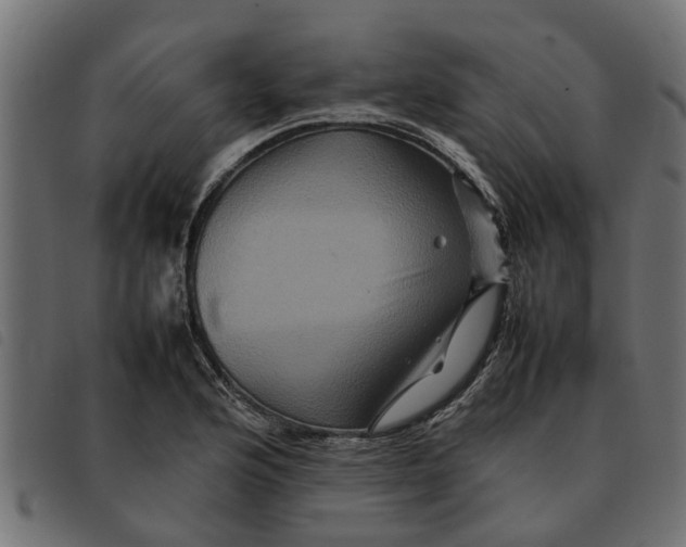 X0000092231176200710121211