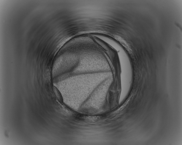 X0000092231177200710121211