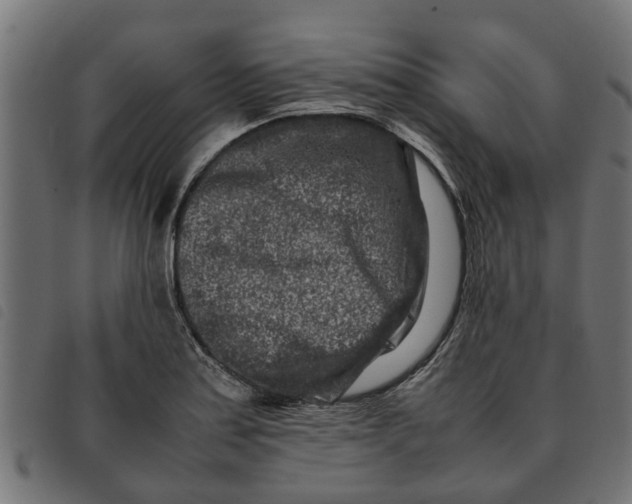 X0000092231179200710121211