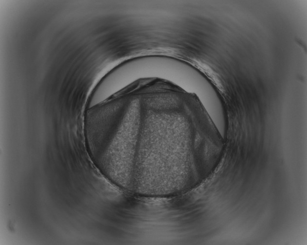 X0000092231184200710121211