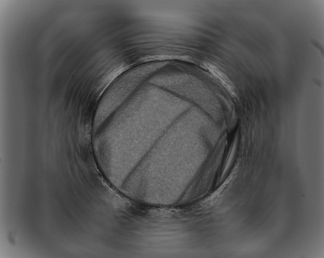 X0000092231185200710121211