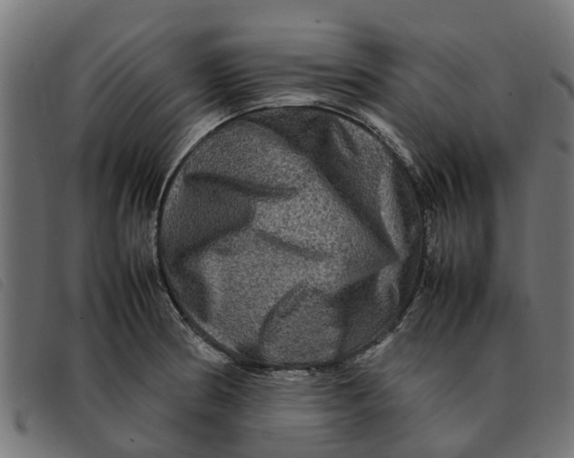 X0000092231186200710121211