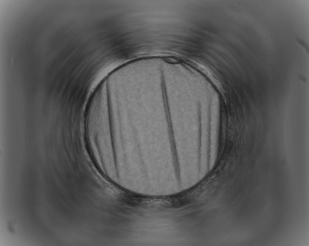 X0000092231187200710121211