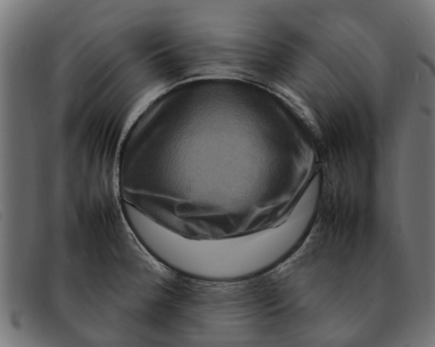 X0000092231188200710121211