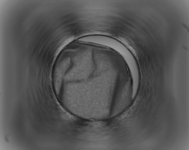 X0000092231189200710121211