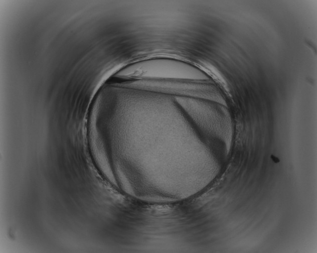 X0000092231190200710121211