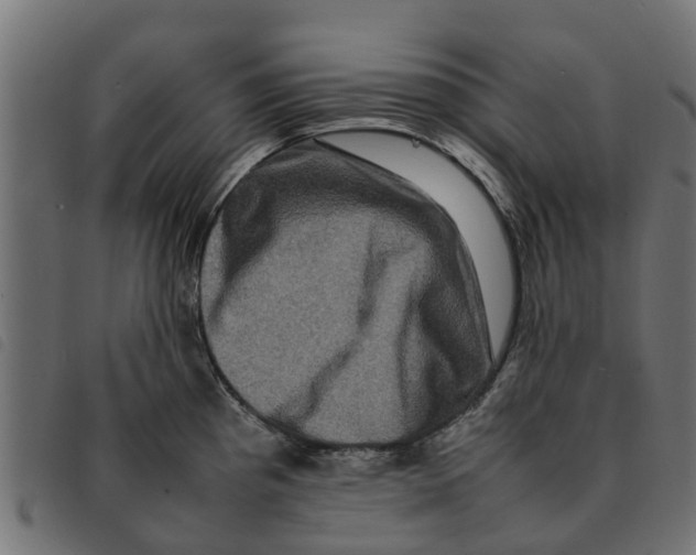 X0000092231193200710121211